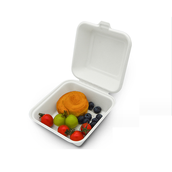 Sustainable Bento Cake Box