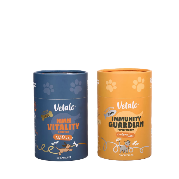 Eco-Friendly Cylindrical Packaging