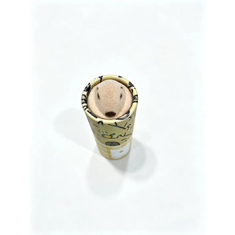 1788352057177846.jpg Cute Cartoon Cylindrical Paper Gift Tube-2.jpg